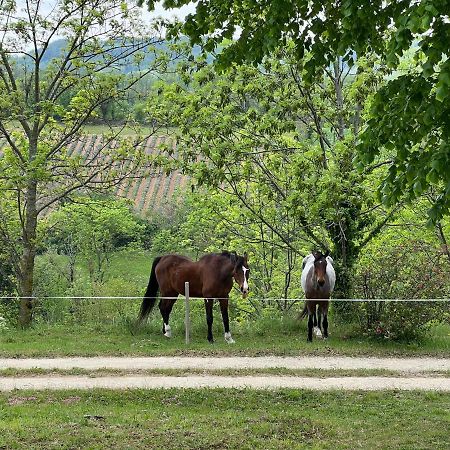 Marquis De Carrou Bed & Breakfast Rochefort-Samson Bagian luar foto